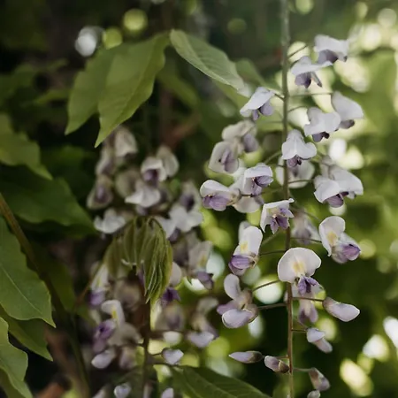 Casa vacanze Sea And The